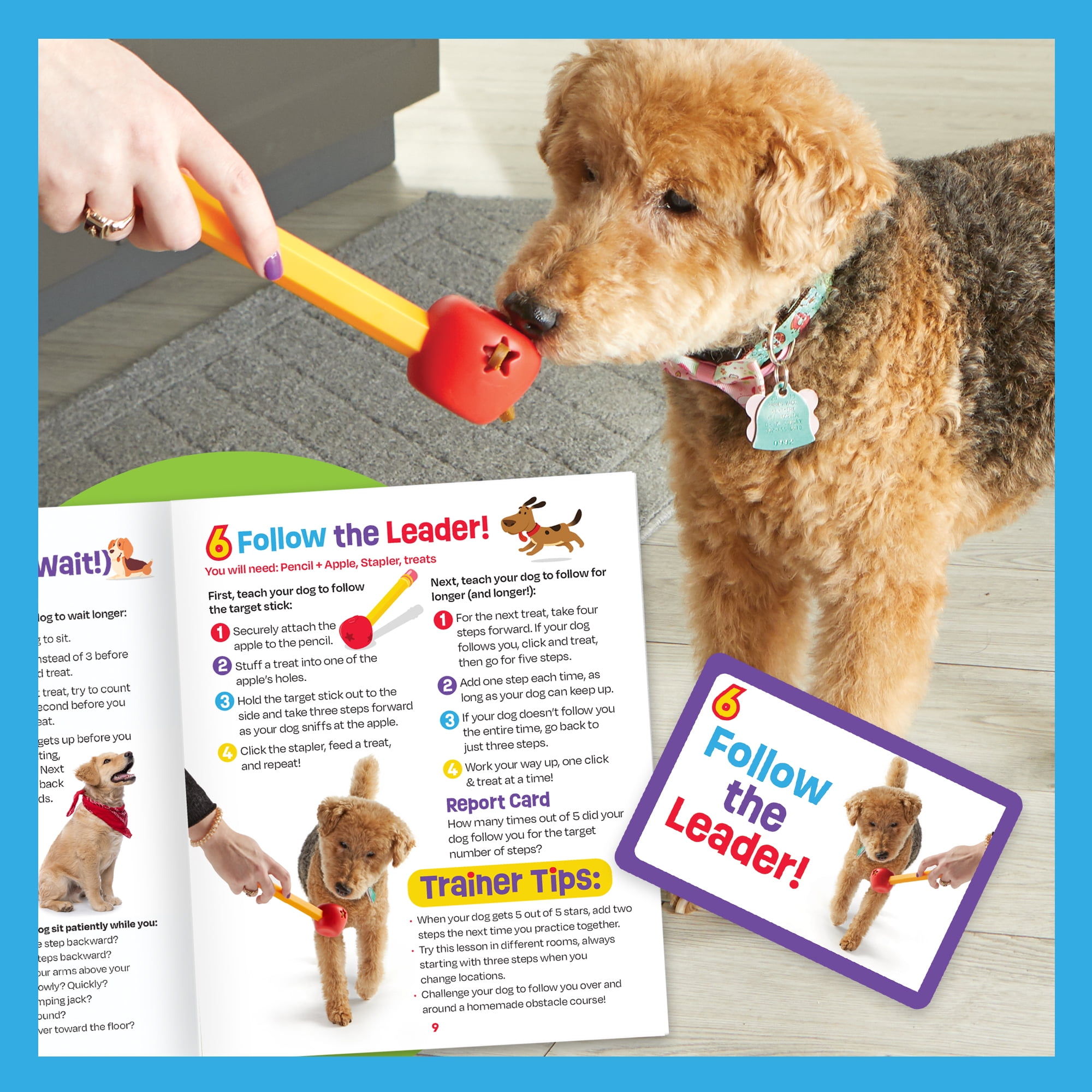 Toys to Keep Dogs Busy while School is in Session