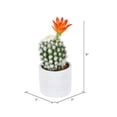 thumbnail image 2 of Vickerman 9" Artificial Green Cactus in Cement Pot, Pack of 2, 2 of 3