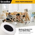 thumbnail image 4 of 2-Pack Core Mini Replacement Filter for LEVOIT Core Mini Air Purifiers, H13 True HEPA Filter Replacement, 3-in-1 Premium High Efficiency Filter with 6 Fragrance Sponges, Part Core Mini-RF, 4 of 7