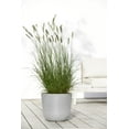 thumbnail image 3 of Ecopots Oslo 14” x 14” x 12” Round White Grey Recycled Plastic Planter with Drainage Hole, 3 of 4