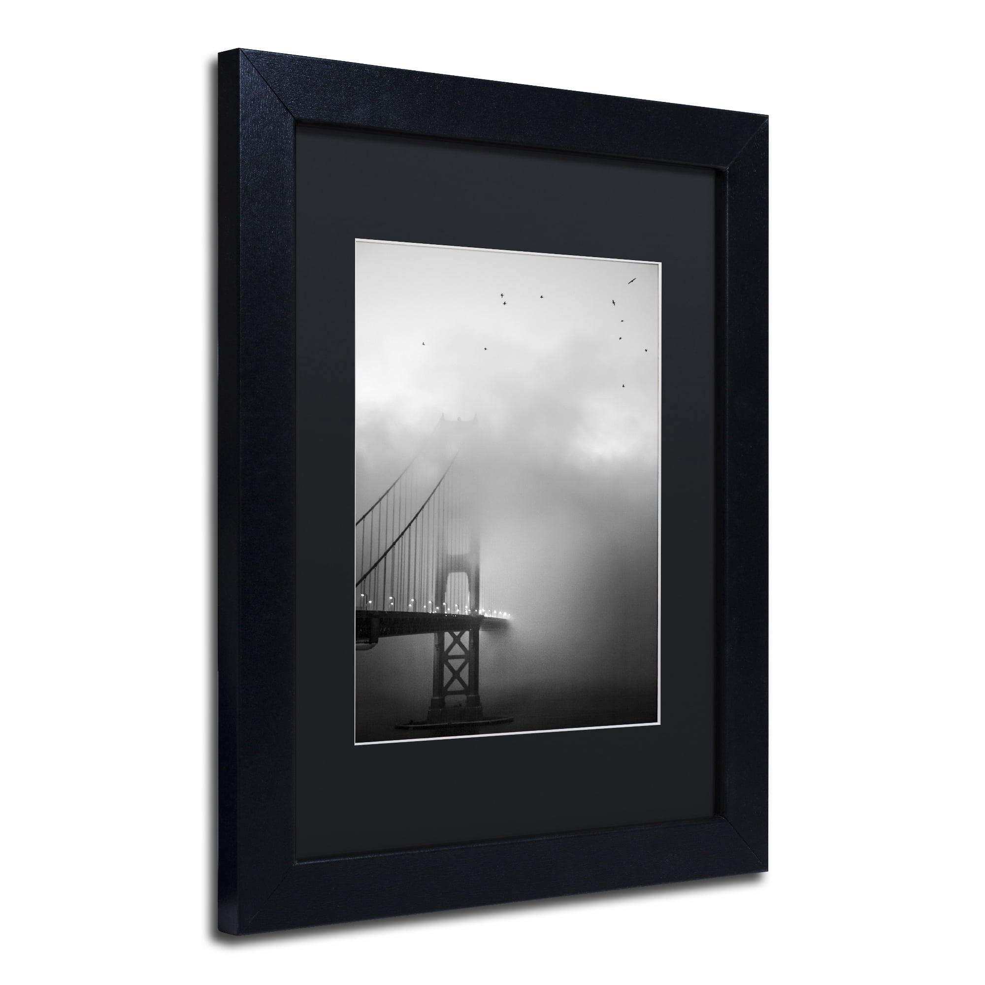 Trademark Fine Art "Golden Gate and Birds" Canvas Art by Moises Levy Black Matte, Black Frame