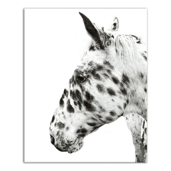Creative Products Black and White Dalmatian Horse 16x20 Canvas Wall Art