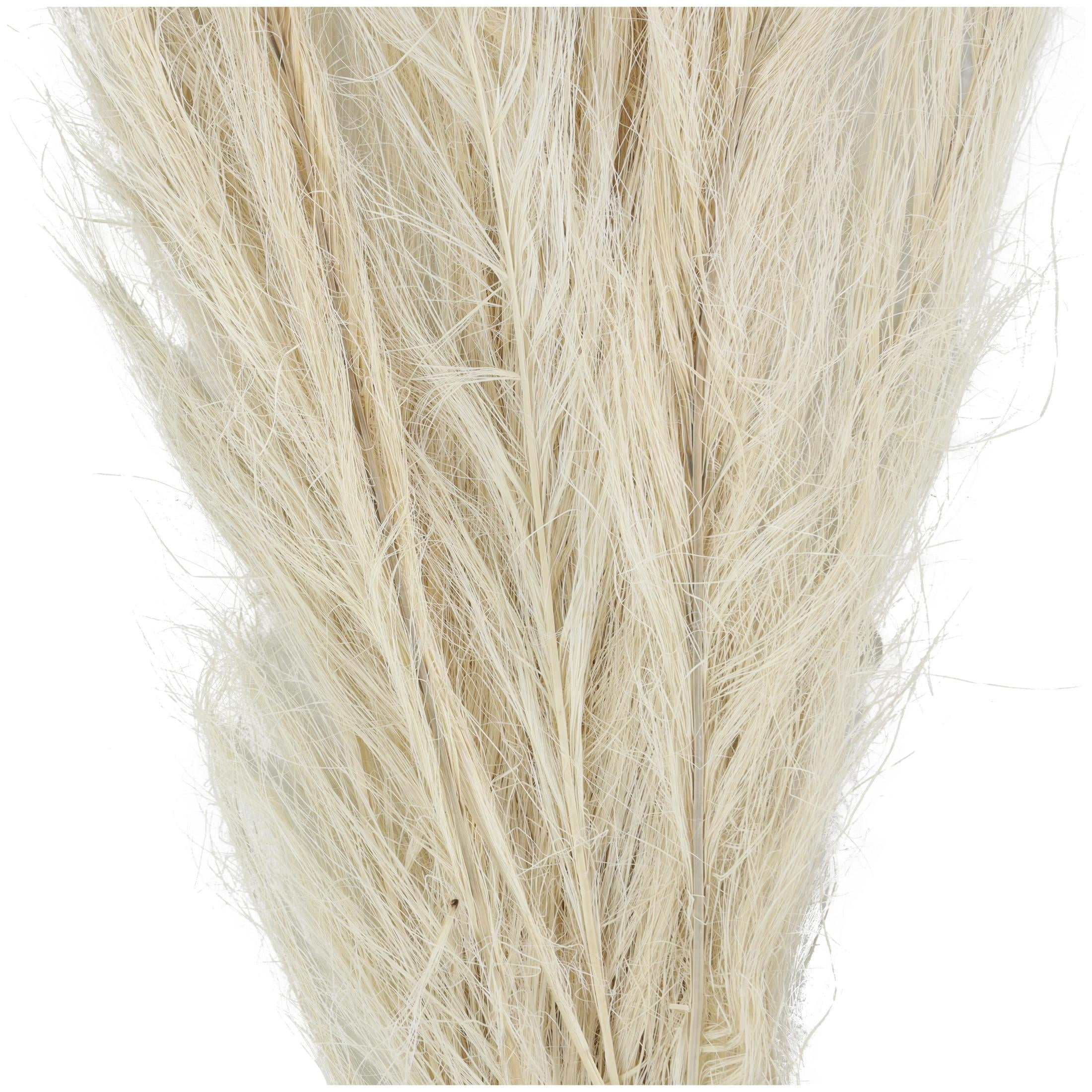 35" Tall Grass Dried Plant Natural Foliage Feather Like Leaves Bouquet with Stems, by DecMode