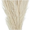 thumbnail image 4 of 35" Tall Grass Dried Plant Natural Foliage Feather Like Leaves Bouquet with Stems, by DecMode, 4 of 7