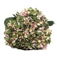 thumbnail image 2 of SPRING PARK Artificial Silk Flowers California Fake Hydrangea Floral Bunch Bouquet Flower for Home Wedding Wall Decor, 2 of 7
