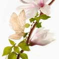 thumbnail image 2 of Perfume Annick Goutal Un Matin d'Orage Eau de Toilette 100 ml Annick Goutal Annick Goutal, 2 of 2