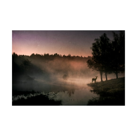 Wim Schuurmans 'Steamy Water' Canvas Art