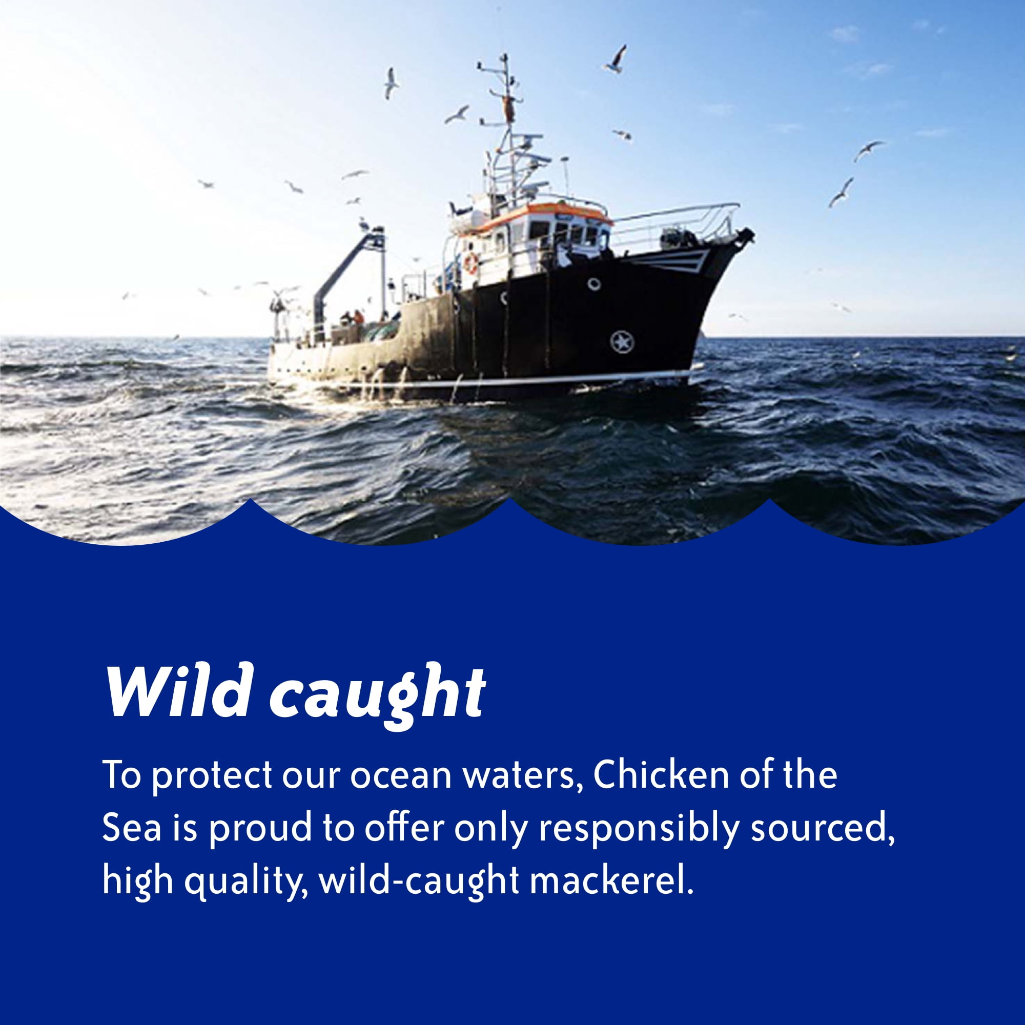 Chicken of the Sea Wild Caught Jack Mackerel in Brine 15 oz