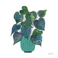 thumbnail image 3 of Zaman, Farida 15x15 Black Modern Framed Museum Art Print Titled - Potted Jewels I Aqua, 3 of 5