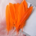 thumbnail image 1 of XmhyTop-A 100 plumas ligeras y flexibles, perfectas para una decoración elegante del hogar, tarjetas de felicitación hechas a mano y accesorios bohemios (naranja), 1 of 4