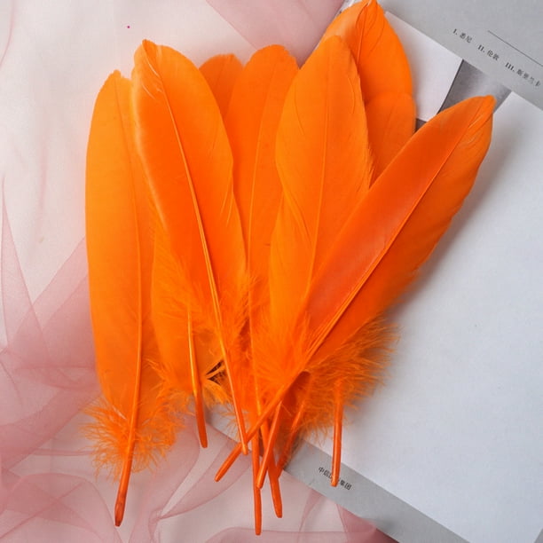 XmhyTop-A 100 plumas ligeras y flexibles, perfectas para una decoración elegante del hogar, tarjetas de felicitación hechas a mano y accesorios bohemios (naranja)