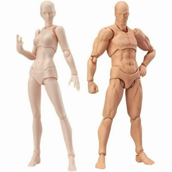Body Doll, Artists Manikin Blockhead Jointed Mannequin Drawing Figures Male Female Set (Skin Color)