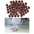 thumbnail image 3 of Qualitchoice 100Pcs 2022 Aluminium Dove Racing Pigeon Foot Rings Supplies Plastic Bands 8mm Brown, 3 of 8