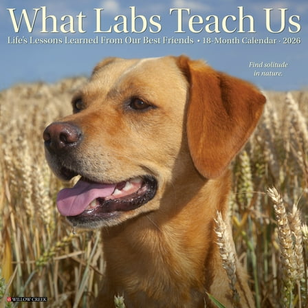 What Labs Teach Us 2026 Wall Calendar