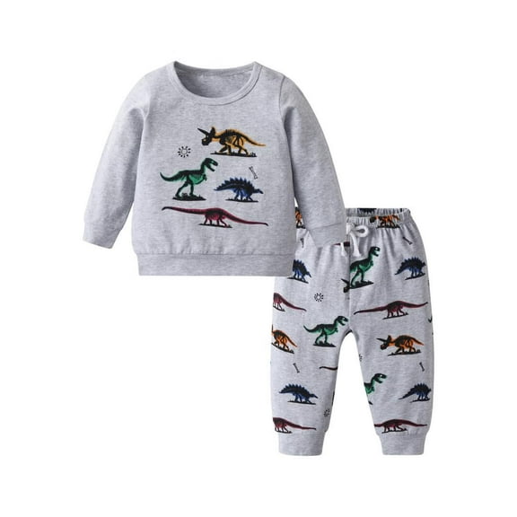 Baby Boy Clothes Long Sleeve Tops and Long Pants Dinosaur Style Set Fall Sweatsuits Outfits Gray 3-6 Months