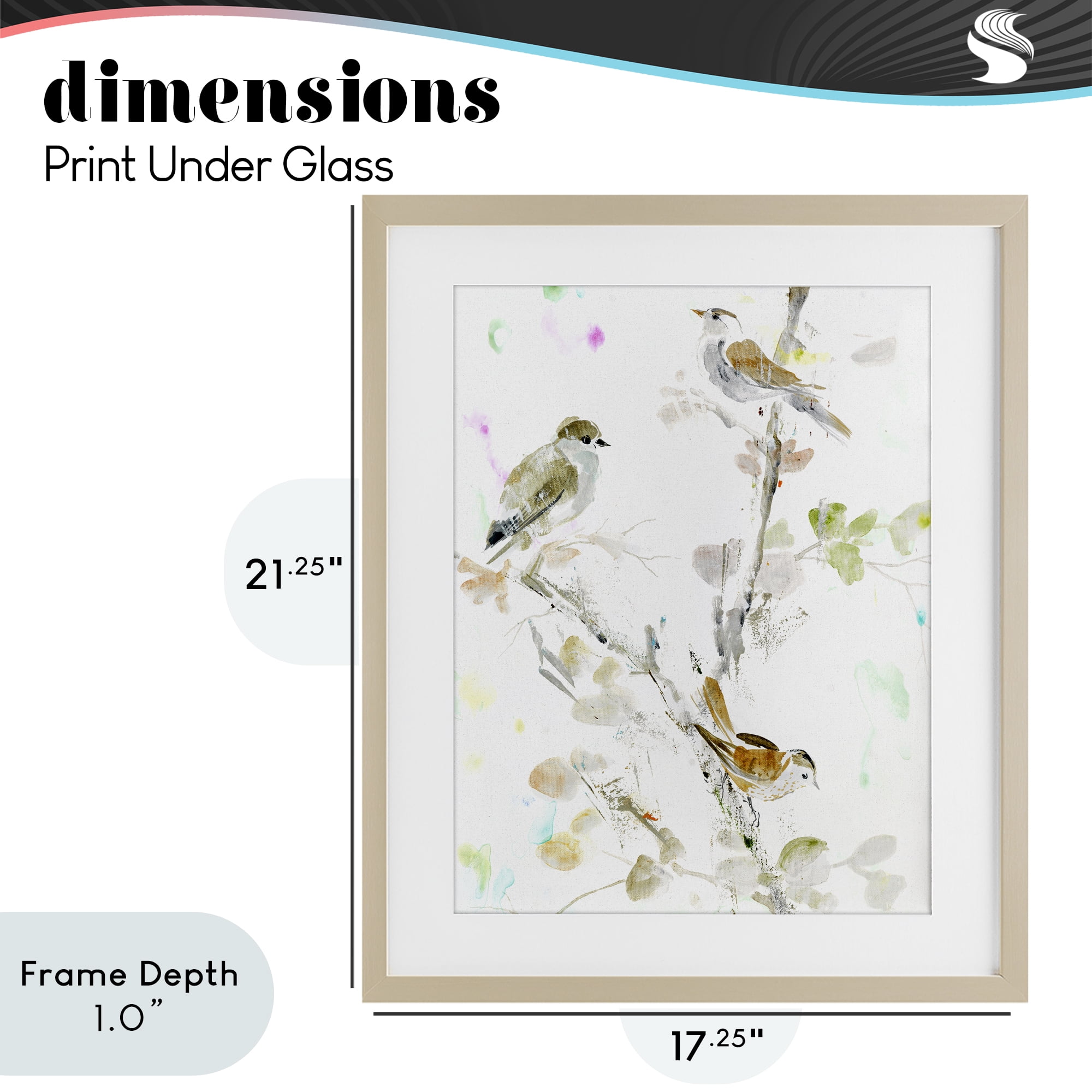 Stupell Industries Delicate Feathers Trio Birch Framed Print Under Glass, design by Lorenzo Collective