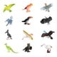 thumbnail image 3 of Modelos de animales Figuras de animales Ayuda didáctica Decoración del hogar Recuerdo de fiesta Cognitivo Pájaro, 3 of 7