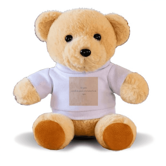 Qoutes Famous People Healing Burden Peacock Tail Bear Toy Animal Plush Toy Hoodie Doll