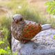 thumbnail image 1 of Venta al por mayor de hojas de jardín europeas y americanas, adornos de tortugas, artesanías creativas de animales pequeños para el hogar, nuevo césped y jardín de resina, 1 of 5