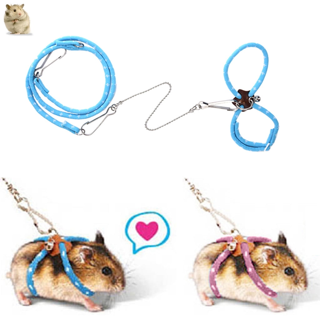 Gerbil leash discount