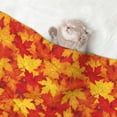 thumbnail image 2 of Disketp Vintage maple leaves autumn Dog Blanket/Bed Cover for Dogs and Cats,Puppy Essentials-Small, 2 of 8