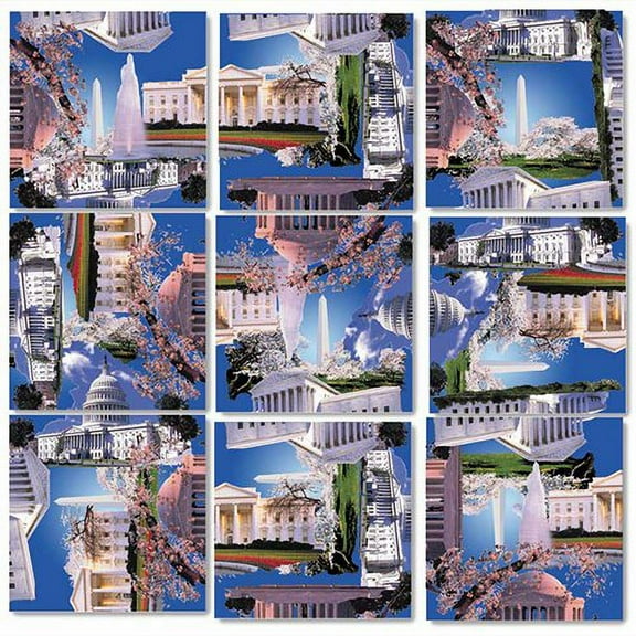 B Dazzle Washington DC Scramble Squares 9 Piece Puzzle
