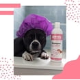 thumbnail image 3 of Speak Pet Products Shine Enhancing Dog Shampoo, Grapefruit Citrus, Natural Deep Clean Formula, 1 Gallon Refill, 3 of 5