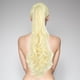 thumbnail image 1 of Fiudx Peluca de Cola de Caballo, Extensión de Cabello con Agarre, Peluca con Clip Ligera y Cómoda, Elegante Cola de Caballo Rizada, para Uso Diario En Fiestas, Tendencia de Moda Femenina, Diseño Fáci, 1 of 2