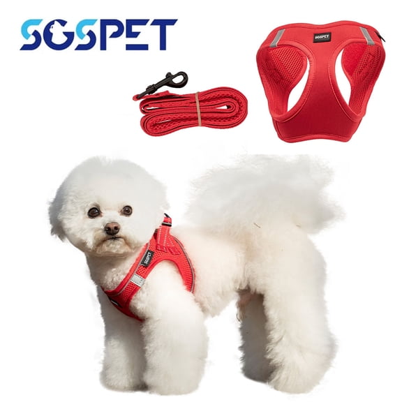 Soft Mesh Dog Harness Set, No-Chock Step-in Reflective Breathable Lightweight Easy Walk Vest Harnesses with Safety Buckle for Small Dogs