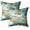 Muiti 5, variant on Set of 2 Natural Luxury Style Incorporates The Swirls The Ripples Agate a Luxe Effect Very Throw Pillow Covers 18X18 Inch Decorative Pillow Cases for Couch Bedroom Living Room