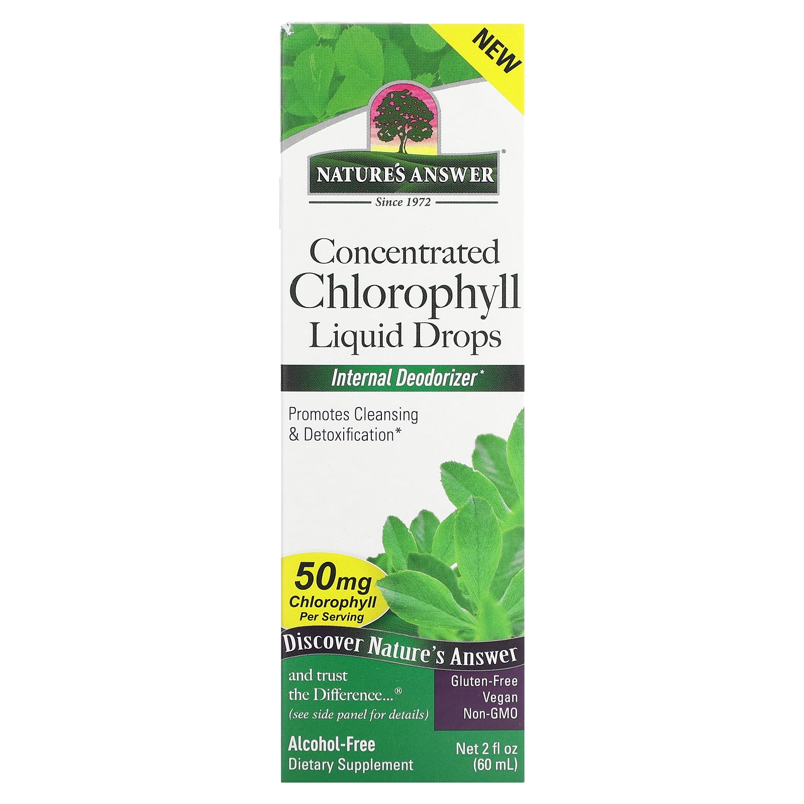Concentrated Chlorophyll Liquid Drops, 50 mg, 2 fl oz (60 ml), Nature's Answer