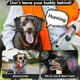 thumbnail image 4 of Orejeras para perros LzGUNGY con protección acústica 17 a 24 pulgadas, 4 of 4