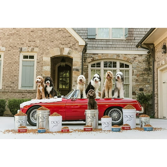 Classic White Pet Food Storage Canister - Large Airtight Container for Dog Food