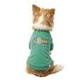 thumbnail image 5 of Oodles Green Best Buddy Pennant Spring Dog Sweatshirt, XS, 5 of 10