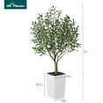 thumbnail image 3 of DR.Planzen UV Resistant 5ft Artificial Olive Tree in White Large Planter with Pebbles– Faux Olive Tree for Indoor and Outdoor Decor, Lifelike Greenery for Home & Garden Decor, 3 of 9
