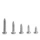 thumbnail image 4 of 250 piezas 4-20 tamaño M2 Cruz cabeza redonda autorroscante PA tornillos Kit (plata), 4 of 9
