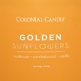 thumbnail image 4 of Pop of Color Golden Sunflowers Scented Jar Candle, 3 Wick, 14.5 oz, 60 Hours Burn, Aromatic, 4 of 6