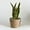 22x15x14CM Medium, variant on Rustic Handcrafted Straw Natural Seagrass Plant Basket Flower Pot Holder Storage Lining Planter Pots Container Flowerpot indoor and outdoor - 22x15x14CM Medium