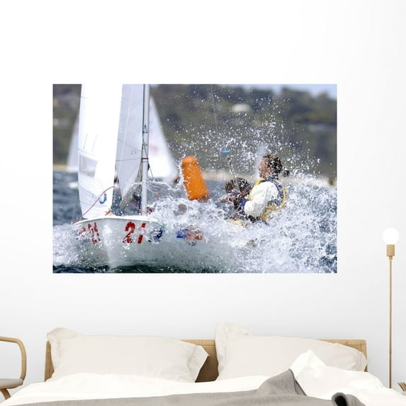 420 Splash 01 Wall Mural by Wallmonkeys Peel and Stick Graphic (48 in W x 32 in H) WM80491