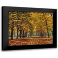thumbnail image 1 of Ziman, Peter 18x15 Black Modern Framed Museum Art Print Titled - Autumn in the Park, 1 of 5