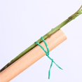 thumbnail image 4 of Kenally Accesorios de amarre retorcido para jardinería, Cables fijos universales para plantas, cables para atar plantas DIY, accesorio para cepillado de Jardín y Patio 50 metros Kenally TO005251-01, 4 of 6