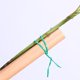 thumbnail image 2 of sweethay Accesorios de amarre retorcido para jardinería, Cables fijos universales para plantas, cables para atar plantas DIY, accesorio para cepillado de Jardín y Patio 100 metros sweethay TO005251-02, 2 of 6