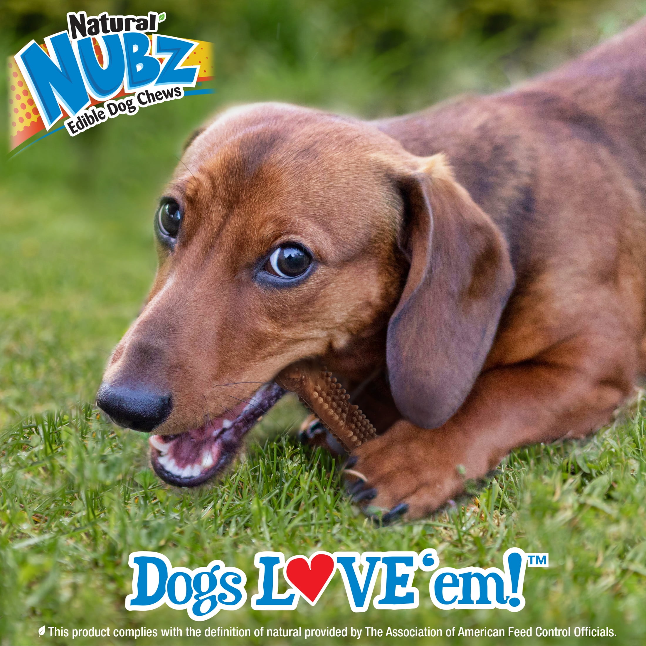 (4 pack) Nylabone Nubz Meaty Center Dog Treats for Small Dogs, Beef Flavor Dog Bones, Small - Up to 30 lbs., 16 Count