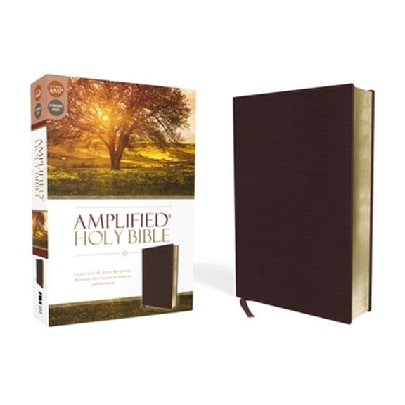 Pre-Owned Amplified Bible-Am: Captures the Full Meaning Behind the Original Greek and Hebrew (Unknown) 0310443946 9780310443940