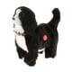 thumbnail image 2 of Juguete electrónico para cachorros, funciona con pilas, ideal para el aprendizaje temprano. Collie, 2 of 7