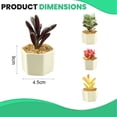 thumbnail image 2 of Uds. De suculentas de simulación, flores bonsái, decoración creativa para el hogar, plantas verdes artificiales, 2 of 5