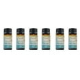 thumbnail image 3 of Summer Vibe Fresh Scented Aromatherapy Essential Oil For Diffusers Humidifiers - 6-Pack, 3 of 8