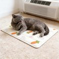 thumbnail image 3 of Dinosaur Watermelon Mat 30x40cm Soft Ice Pad For Small Cats Portable Cool Bed, 3 of 3