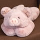 thumbnail image 5 of Peluche pesado Pronivia Pig 1,5 kg 50 cm, 5 of 6