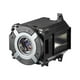 NEC NP42LP - Lampe de Projecteur - 370 Watt - 4000 Heure(S) (mode standard) / 5000 Heure(S) (mode Économique) - pour NEC NP-PA653, PA653UL-41, PA803, PA803U-41, PA903X-41, PA703, PA803, PA853, PA903 – image 1 sur 3